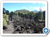 241108_Teneriffa_El_Hierro_223