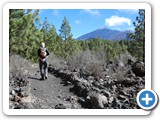 241108_Teneriffa_El_Hierro_233