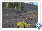 241108_Teneriffa_El_Hierro_246