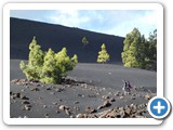 241108_Teneriffa_El_Hierro_249