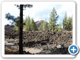 241108_Teneriffa_El_Hierro_250