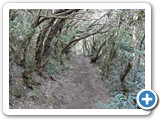 241108_Teneriffa_El_Hierro_264