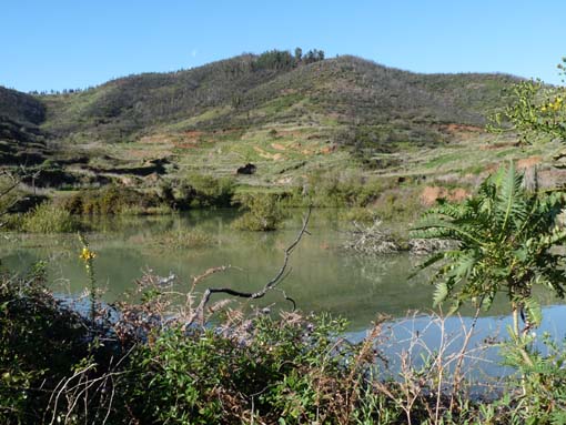 Teneriffa-Wandern-002-Kleiner-Gala