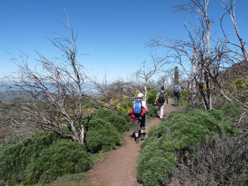 Teneriffa-Wandern-019-Kleiner-Gala