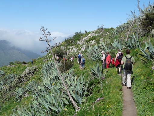 Teneriffa-Wandern-029-Kleiner-Gala