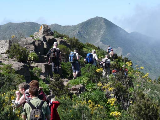 Teneriffa-Wandern-032-Kleiner-Gala