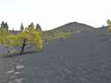 07_Monte_de_Luna_Volcan_Martin_Fuencaliente_20