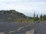 07_Monte_de_Luna_Volcan_Martin_Fuencaliente_22