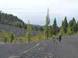 07_Monte_de_Luna_Volcan_Martin_Fuencaliente_23