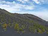 07_Monte_de_Luna_Volcan_Martin_Fuencaliente_40