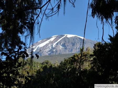 Gletscher auf dem Kilimanjaro