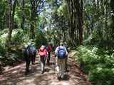 Kilimanjaro-Tansania-13-035