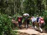 Kilimanjaro-Tansania-13-036