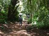 Kilimanjaro-Tansania-13-043
