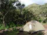 Kilimanjaro-Tansania-13-074