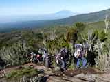 Kilimanjaro-Tansania-13-115