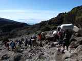Kilimanjaro-Tansania-13-452