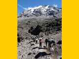 Kilimanjaro-Tansania-13-458