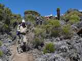 Kilimanjaro-Tansania-13-470