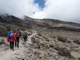 Kilimanjaro-Tansania-13-495