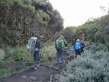 Kilimanjaro-Tansania-13-629