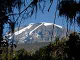 Kilimanjaro-Tansania-13-662
