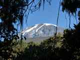 Kilimanjaro-Tansania-13-665