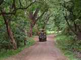 Lake-Manyara-Nationalpark-Tansania-007
