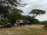 Lake-Manyara-Nationalpark-Tansania-040