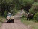 Lake-Manyara-Nationalpark-Tansania-069