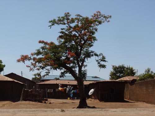 2-Moshi-Tansania-044