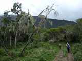 Mount-Meru-Tansania-059