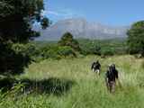 Mount-Meru-Tansania-385