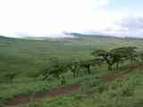 Ngorongoro-Tansania-1-009