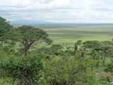 Serengeti-Tansania-062