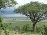 Serengeti-Tansania-064