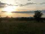 Serengeti-Tansania-192