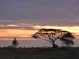 Serengeti-Tansania-210