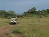 Serengeti-Tansania-245