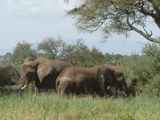 Tarangire-Nationalpark-Tansania-104