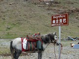 10328_Kailash-Umrundung-Tibet