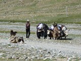 10331_Kailash-Umrundung-Tibet