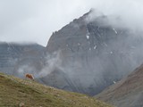 10369_Kailash-Umrundung-Tibet