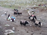10399_Kailash-Umrundung-Tibet