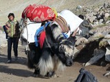 10447_Kailash-Umrundung-Tibet