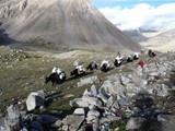 10448_Kailash-Umrundung-Tibet