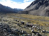 10451_Kailash-Umrundung-Tibet