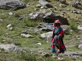 10581_Kailash-Umrundung-Tibet