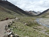 10594_Kailash-Umrundung-Tibet