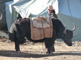 10624_Kailash-Umrundung-Tibet